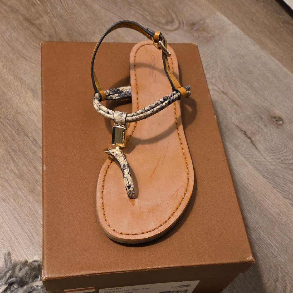 Coach Snakeskin Pattern Sandals